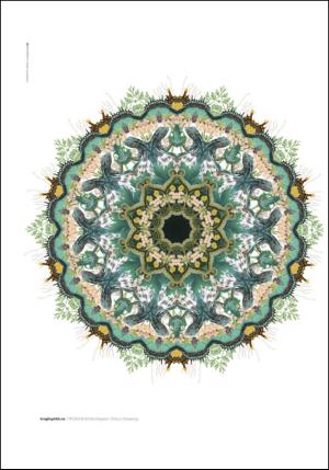 adresseavisen_uka-20120929_000_00_00_002.pdf