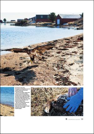adresseavisen_uka-20130420_000_00_00_015.pdf