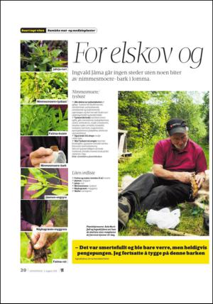 adresseavisen_uka-20130803_000_00_00_020.pdf
