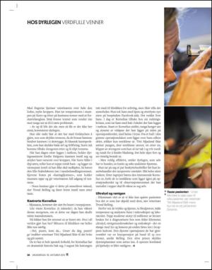 adresseavisen_uka-20131019_000_00_00_026.pdf