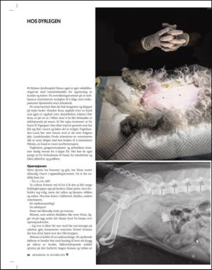 adresseavisen_uka-20131019_000_00_00_028.pdf