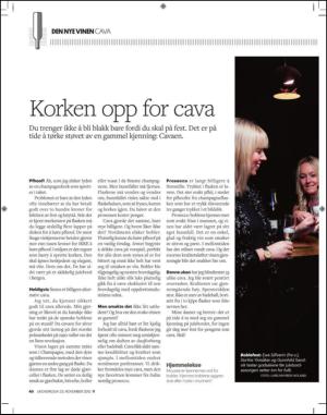 adresseavisen_uka-20131123_000_00_00_040.pdf