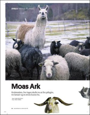 adresseavisen_uka-20140118_000_00_00_024.pdf