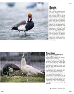 adresseavisen_uka-20140118_000_00_00_029.pdf