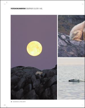 adresseavisen_uka-20140412_000_00_00_022.pdf
