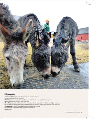 adresseavisen_uka-20140412_000_00_00_031.pdf