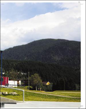 adresseavisen_uka-20140726_000_00_00_009.pdf