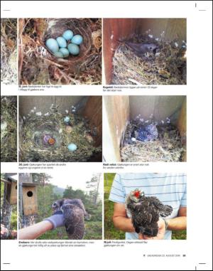 adresseavisen_uka-20140823_000_00_00_025.pdf