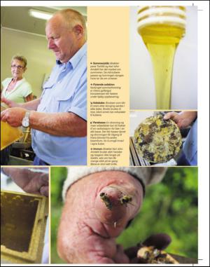 adresseavisen_uka-20140906_000_00_00_013.pdf