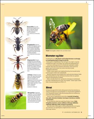 adresseavisen_uka-20140906_000_00_00_015.pdf