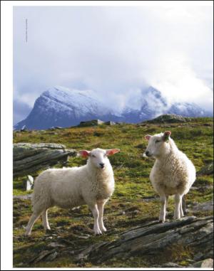 adresseavisen_uka-20150207_000_00_00_002.pdf