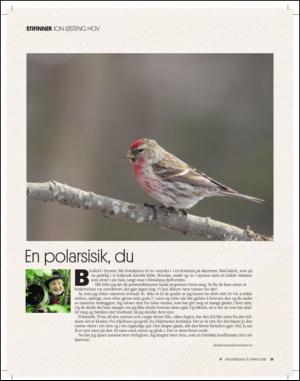 adresseavisen_uka-20150321_000_00_00_031.pdf