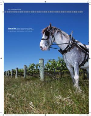 adresseavisen_uka-20150418_000_00_00_039.pdf