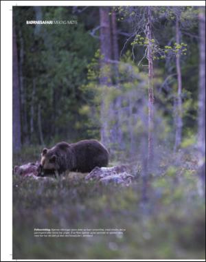 adresseavisen_uka-20150815_000_00_00_006.pdf