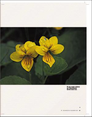 adresseavisen_uka-20151219_000_00_00_029.pdf