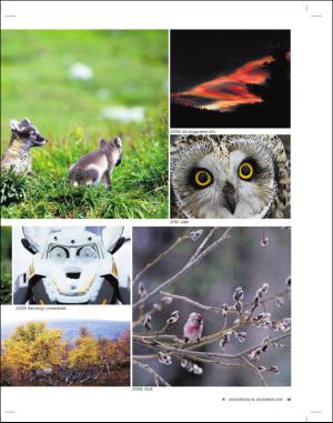 adresseavisen_uka-20151219_000_00_00_031.pdf