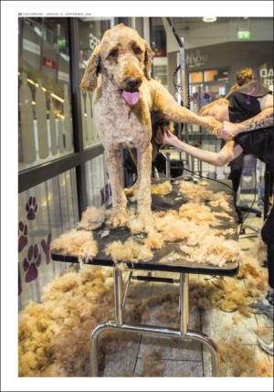 adresseavisen_uka-20160917_000_00_00_020.pdf