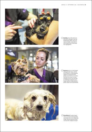 adresseavisen_uka-20160917_000_00_00_023.pdf