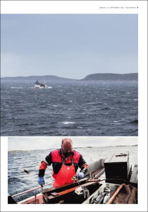 adresseavisen_uka-20160924_000_00_00_011.pdf