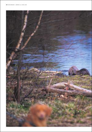 adresseavisen_uka-20170520_000_00_00_020.pdf