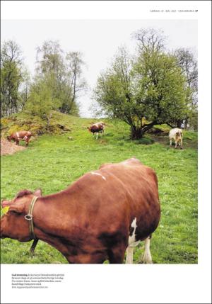 adresseavisen_uka-20170527_000_00_00_027.pdf