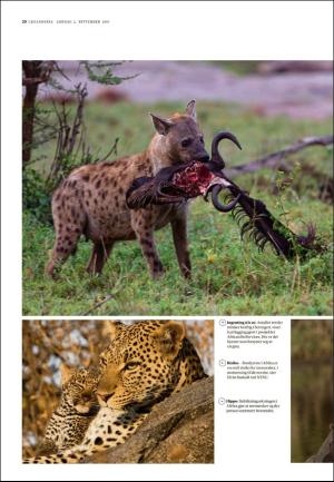 adresseavisen_uka-20170902_000_00_00_020.pdf