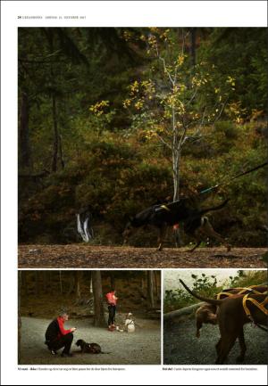 adresseavisen_uka-20171021_000_00_00_024.pdf