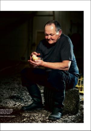 adresseavisen_uka-20180324_000_00_00_005.pdf