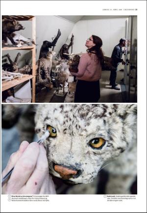 adresseavisen_uka-20180414_000_00_00_023.pdf