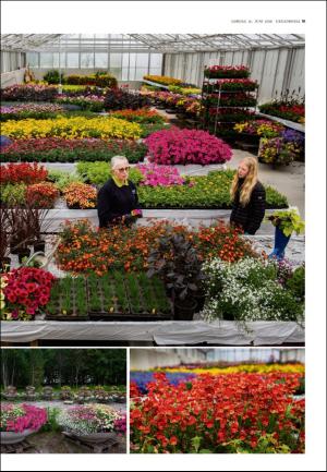 adresseavisen_uka-20180616_000_00_00_019.pdf