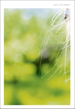 adresseavisen_uka-20180721_000_00_00_007.pdf