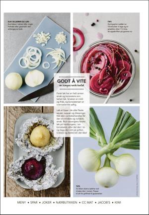 adresseavisen_uka-20180728_000_00_00_003.pdf