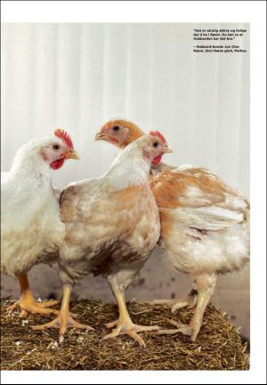 adresseavisen_uka-20180811_000_00_00_003.pdf