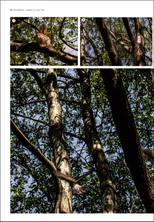 adresseavisen_uka-20190608_000_00_00_022.pdf