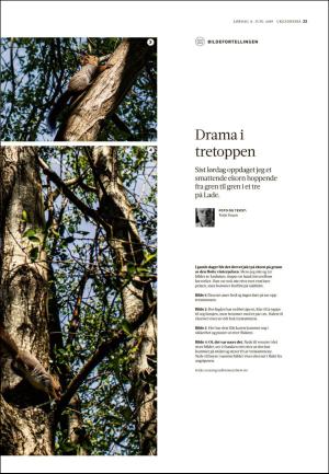 adresseavisen_uka-20190608_000_00_00_023.pdf