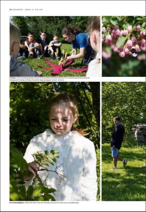 adresseavisen_uka-20190615_000_00_00_024.pdf