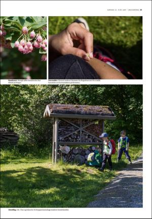 adresseavisen_uka-20190615_000_00_00_025.pdf