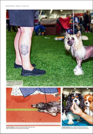 adresseavisen_uka-20190831_000_00_00_022.pdf