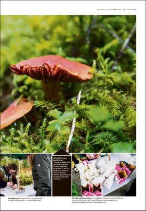 adresseavisen_uka-20190921_000_00_00_025.pdf