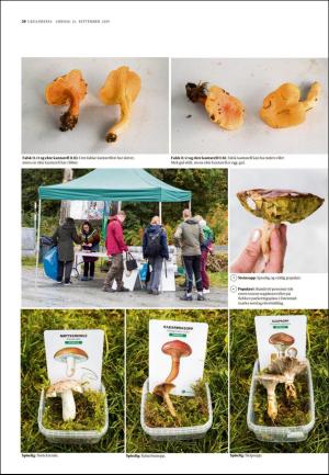 adresseavisen_uka-20190921_000_00_00_026.pdf