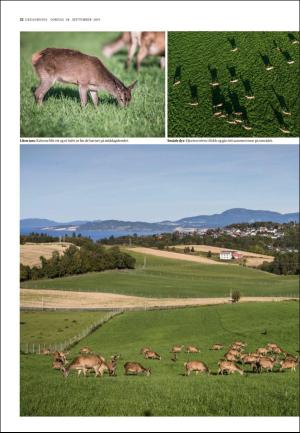 adresseavisen_uka-20190928_000_00_00_022.pdf