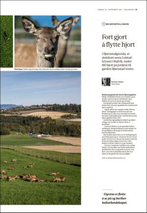 adresseavisen_uka-20190928_000_00_00_023.pdf