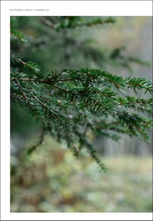 adresseavisen_uka-20191102_000_00_00_004.pdf