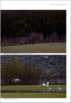 adresseavisen_uka-20200530_000_00_00_015.pdf