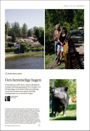 adresseavisen_uka-20200613_000_00_00_017.pdf