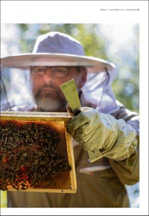 adresseavisen_uka-20200905_000_00_00_019.pdf