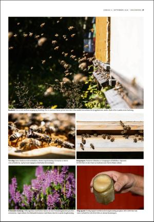 adresseavisen_uka-20200905_000_00_00_021.pdf