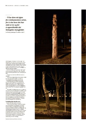 adresseavisen_uka-20201212_000_00_00_018.pdf