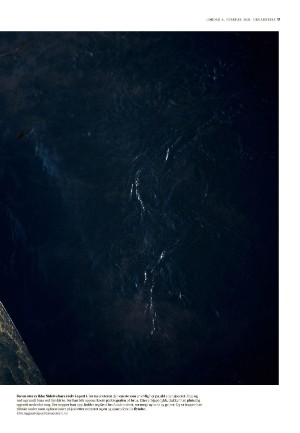 adresseavisen_uka-20210206_000_00_00_017.pdf