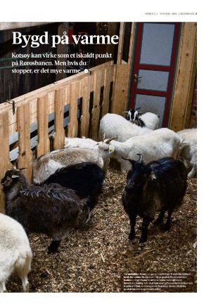 adresseavisen_uka-20210213_000_00_00_005.pdf